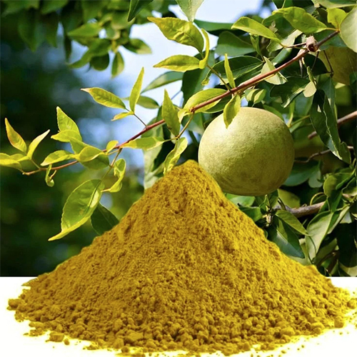 Bael Powder