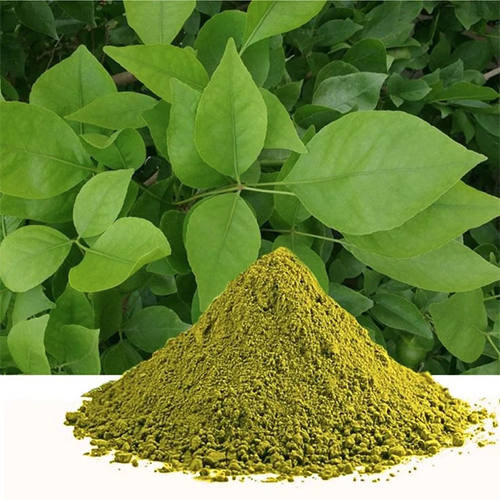 Bael Powder