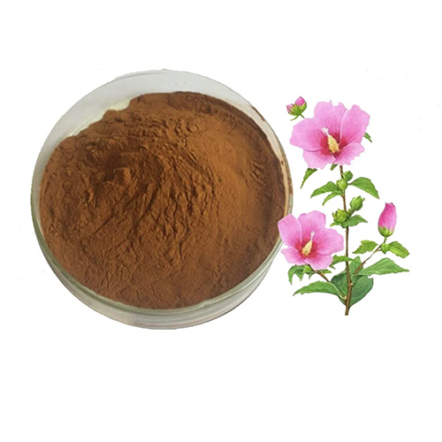 Hibiscus Extract