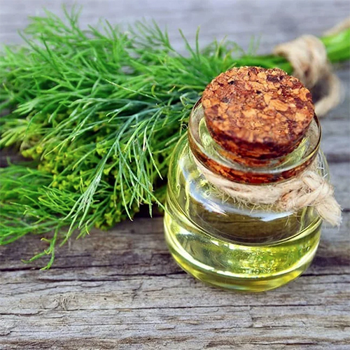 Dill Seed Essential Oil