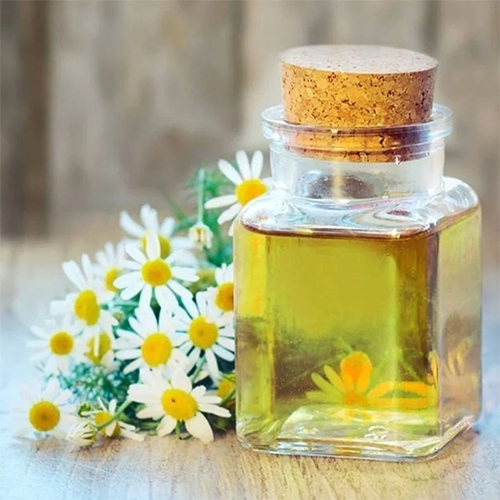 Chamomile Roman Essential Oil