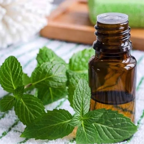 Menthol Essential Oil