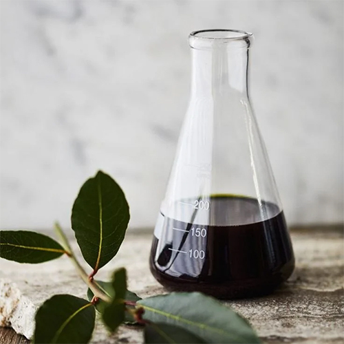 Bay Leaf Essential Oil - Age Group: All Age Group