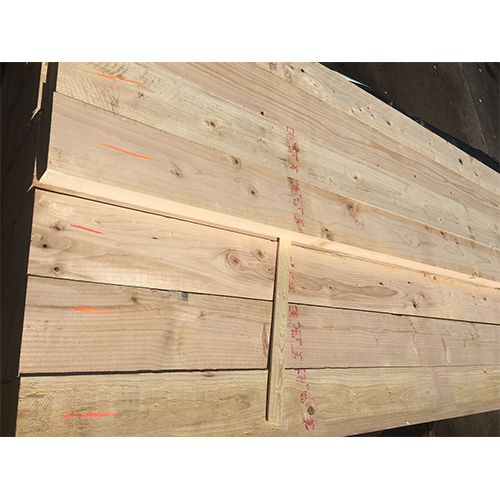 Hemlock Plywood