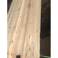 Hemlock Plywood