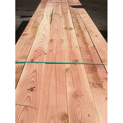 Douglas Plywood