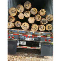 SYP Logs
