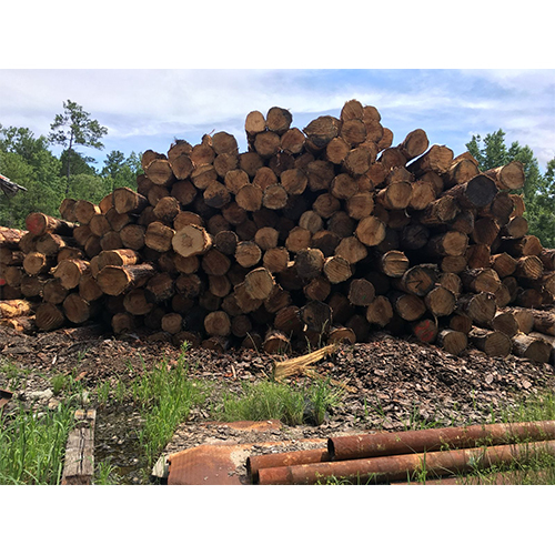 SYP Logs