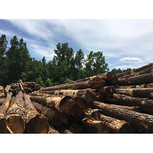 SYP Logs