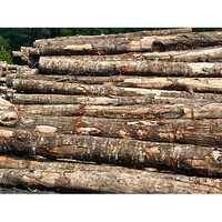 SYP Logs