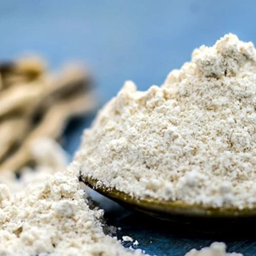 Shatavari Dry Extract