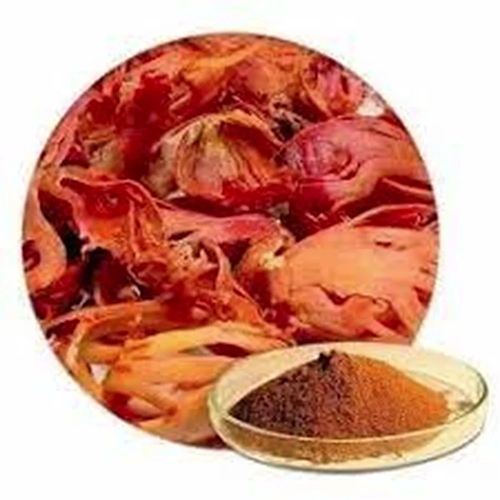 Jaw Dry Extract