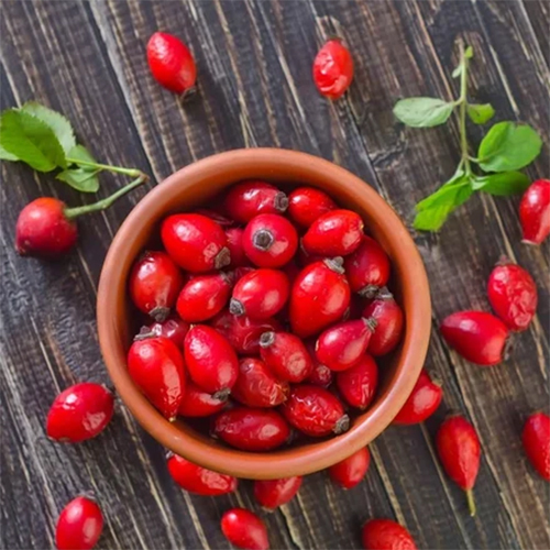 Rosehip Dry Extract