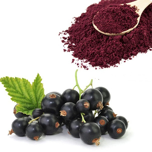 Black Currant Fruit Powder