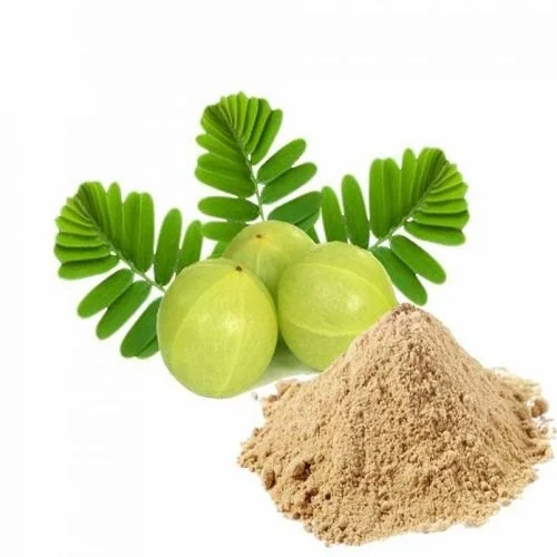 Amla Dry Extract