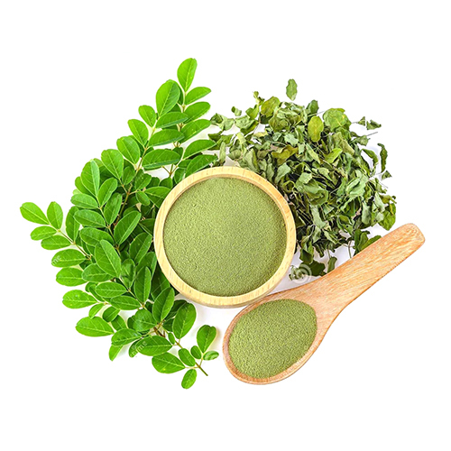 Moringa Dry Extract By Vedagreen Herbals Private Limited