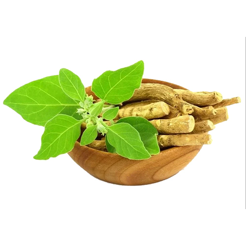 Ashwagandha Dry Extract