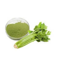 Celery Powder - Ingredients: Herbs