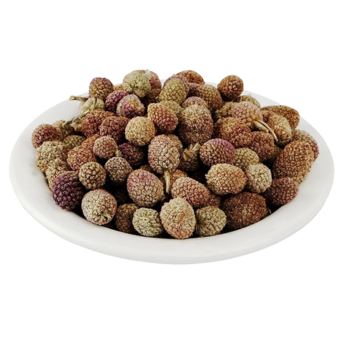 Gorakhmundi Dry Extract