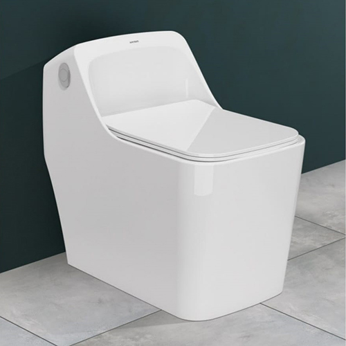 One Piece Toilet closet