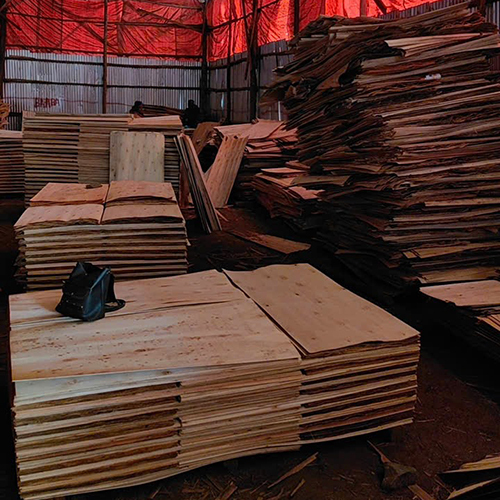 Eucalyptus Core - Size: Standard