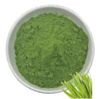 Barley Grass Powder - Ingredients: Herbs