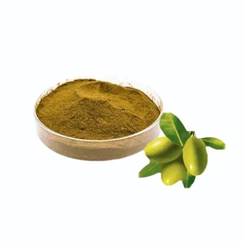 Olive Leaf Extract