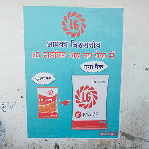 Digital Wall Printing Service
