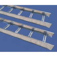 Ladder Cable Tray - Conductor Material: Steel