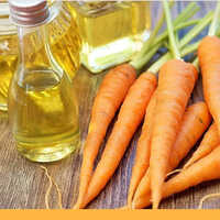 Carrot Seed Oil