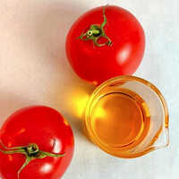 Tomato Seed Oil - Odour: Fresh
