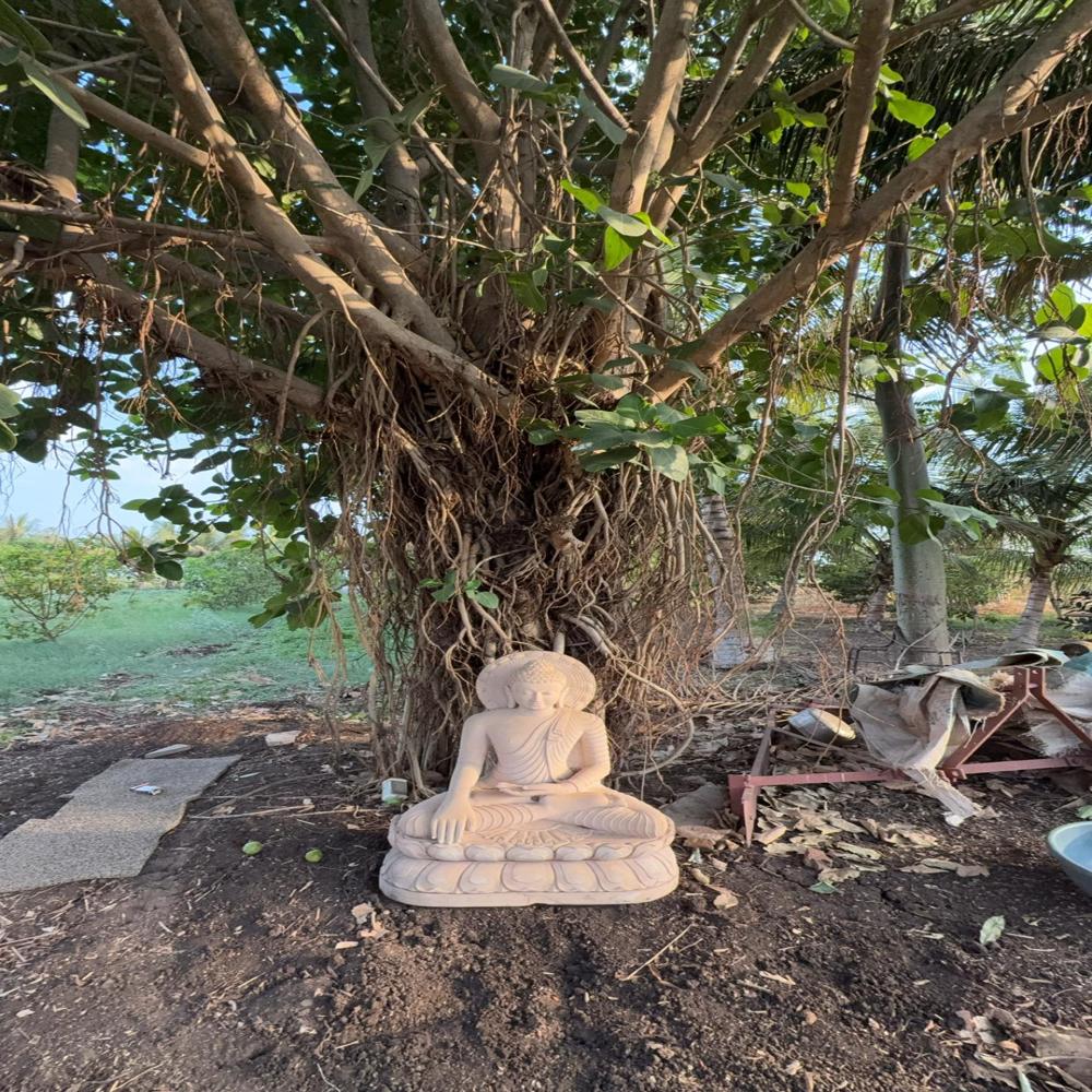 Buddha Sandstone Statue - Color: Pink