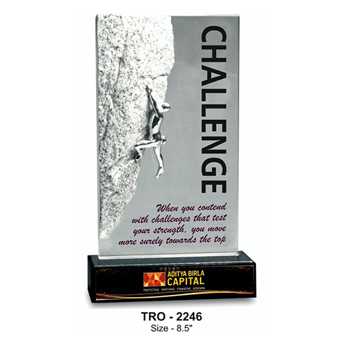 Tro-2246 8.5 Inch Acrylic Mementos - Color: Various Colors