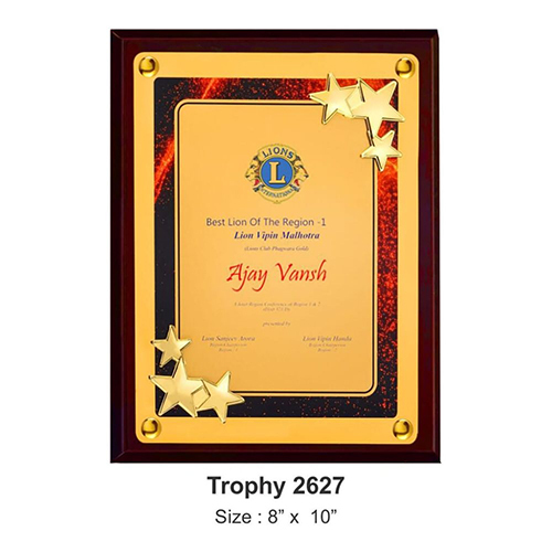2627 8X10 Inch Distinctive Wooden Plaque - Color: Various Colors