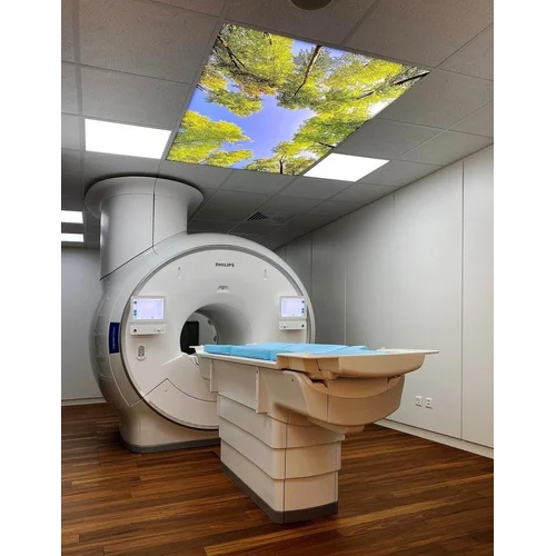 256 Slice Ct Scanner - Attributes: High Quality