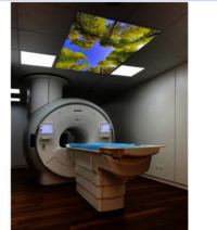256 Slice Ct Scanner - Application: Requirement Based