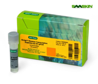 BioRad iScript Reverse Transcription Supermix, 100 x 20 l rxns, 400 l