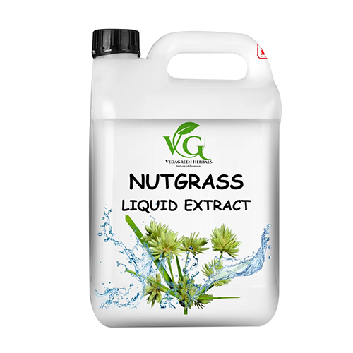 Nutgrass Liquid Extract