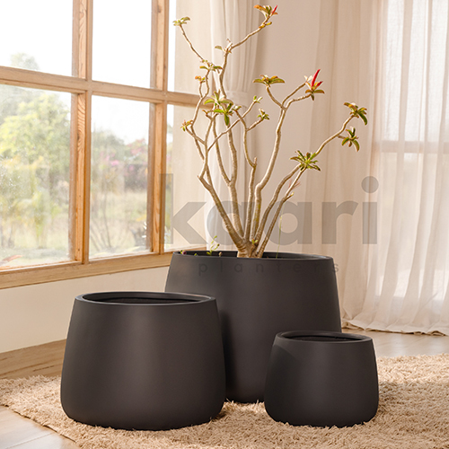 HAVEN FRP Garden Planter