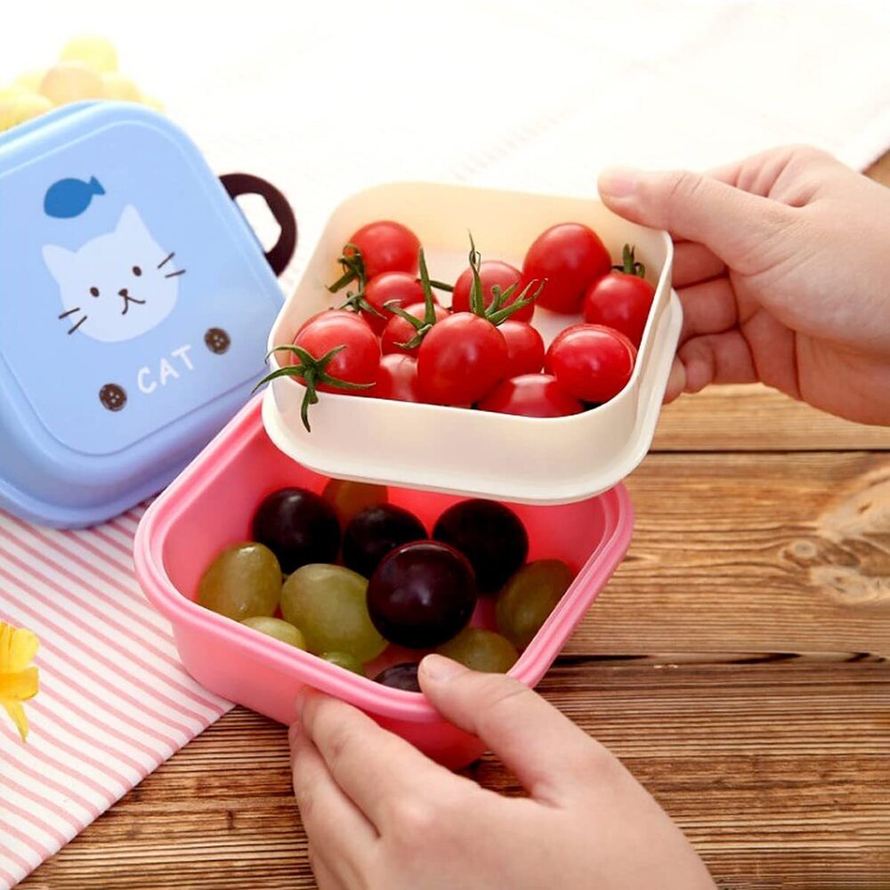 Compartments Tiffin Box for Boys, Girls, School