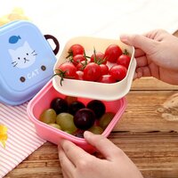 Compartments Tiffin Box for Boys, Girls, School