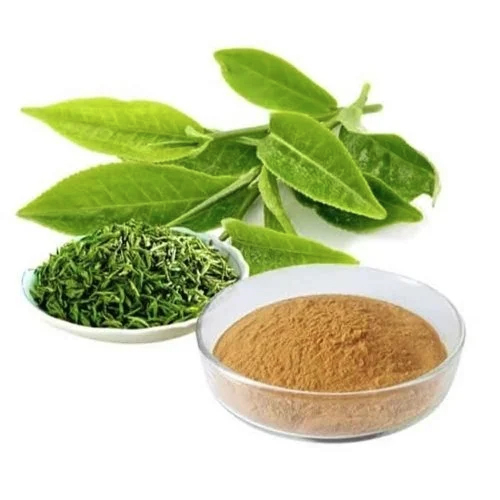 Green Tea Extract 90