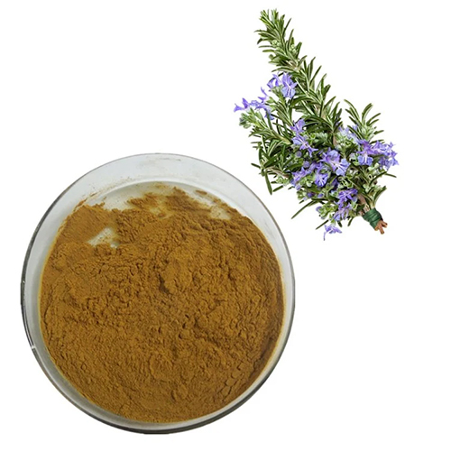 Rosemary Extract