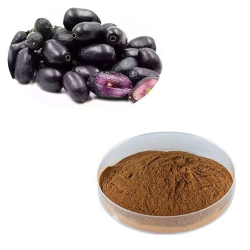 Jamun Dry Extract