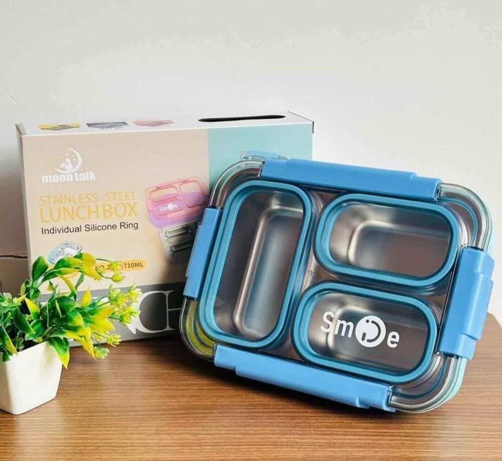 Ornateglow Lunch Box for School Kids  Compartment Lunch Box with Stainless Steel Case,
