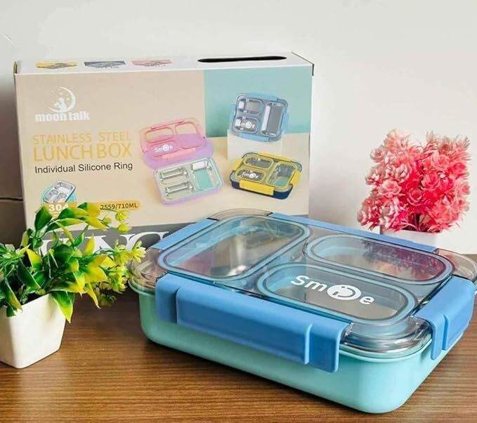 Ornateglow Lunch Box for School Kids  Compartment Lunch Box with Stainless Steel Case,