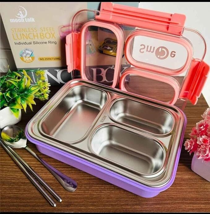 Ornateglow Lunch Box for School Kids  Compartment Lunch Box with Stainless Steel Case,