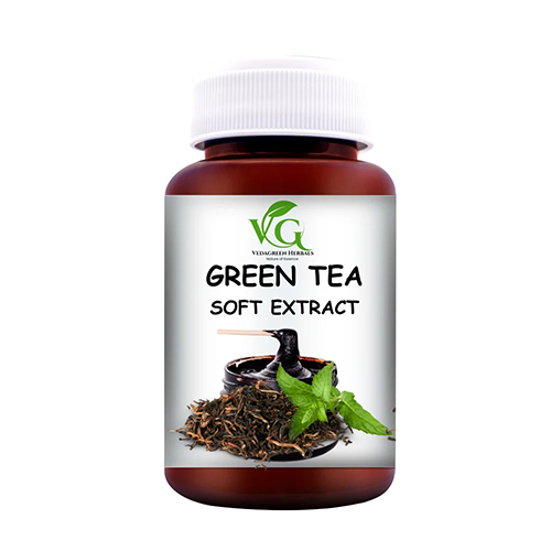 Green Tea Soft Extract Paste