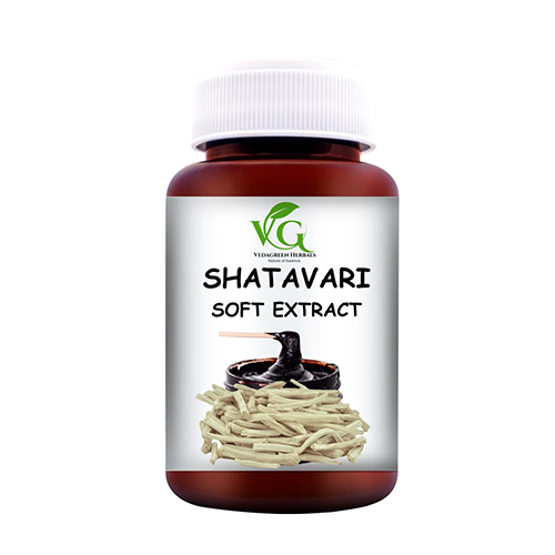Shatavari Soft Extract Paste