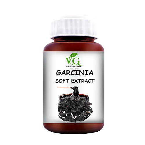 Garcinia Soft Extract Paste